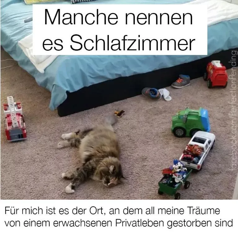 kw70nlzyz1pc.webp