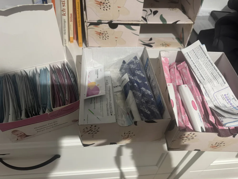 mdltscppn59n.webp