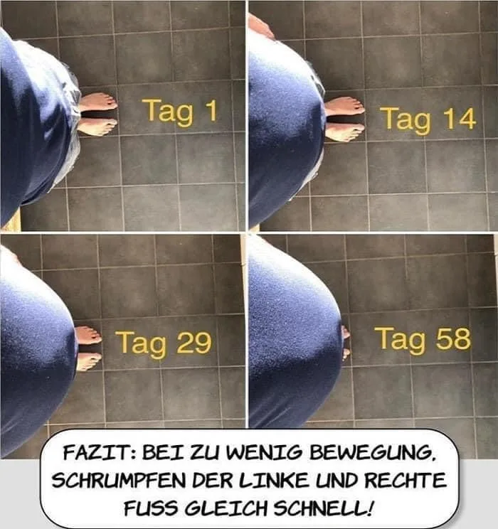 2k21vtp3jh86.webp