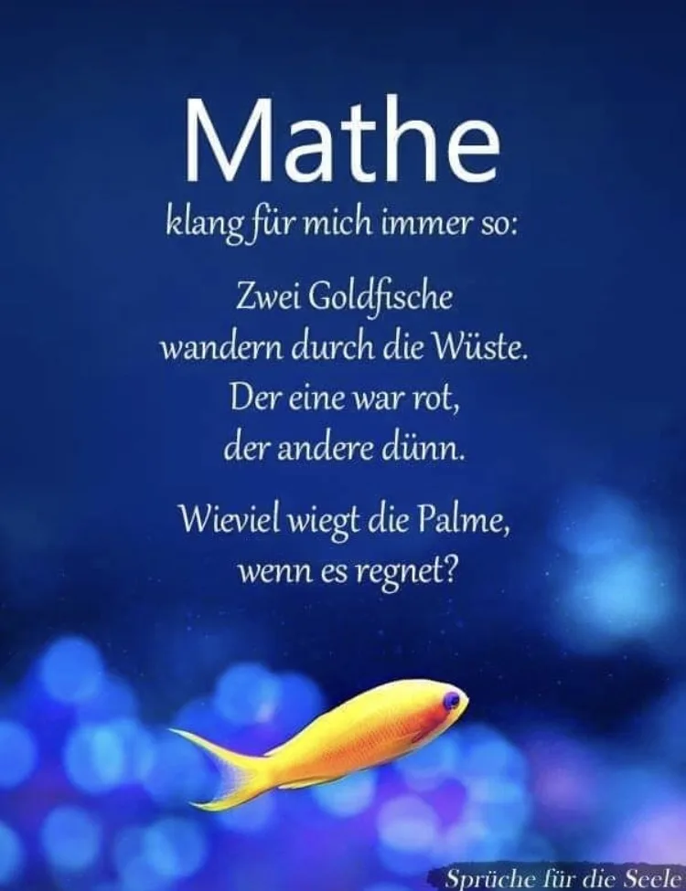 t16ksovjk9sw.webp