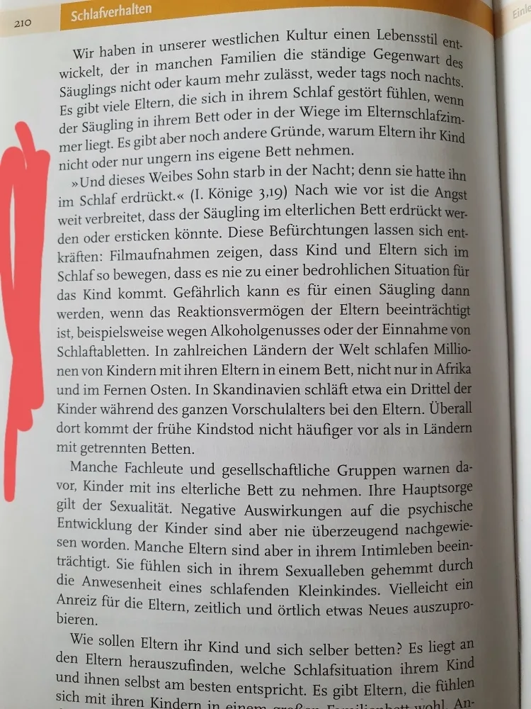 wg7h4vg5zpqe.webp