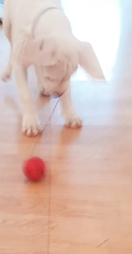 zjz9j7hvesv4.webp