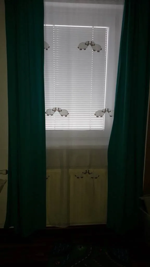hjuoj16j2y1j.webp