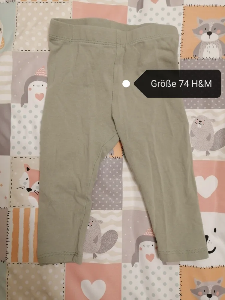 50wbyye8xhqo.webp