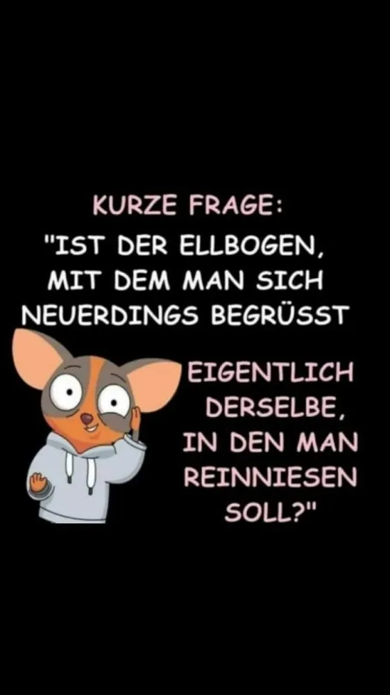 z0z0pafltu8e.webp