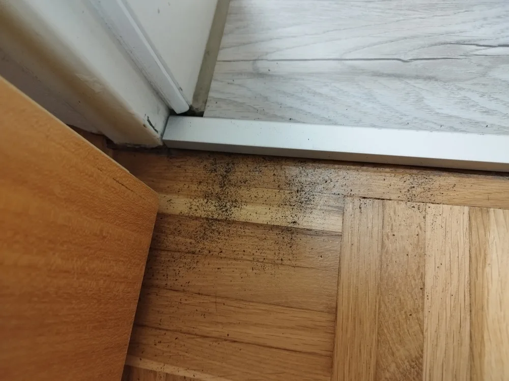 275ca82kmmx5.webp