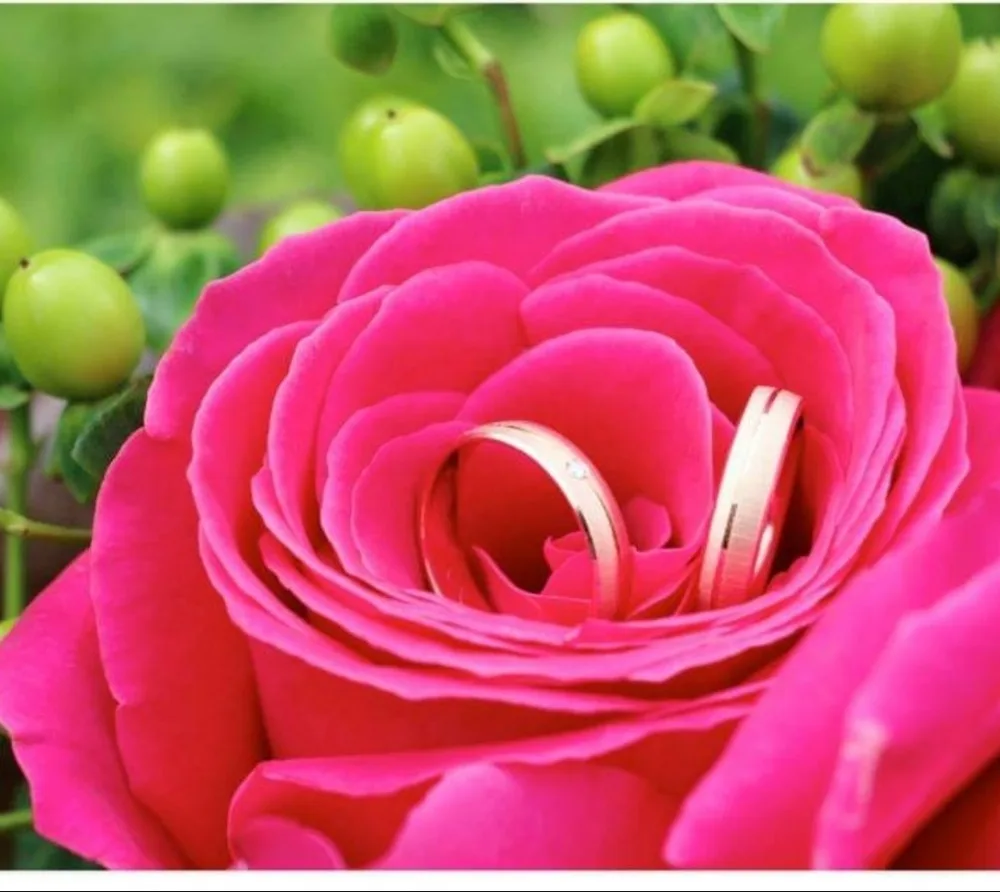 g8n7sww7uqqu.webp