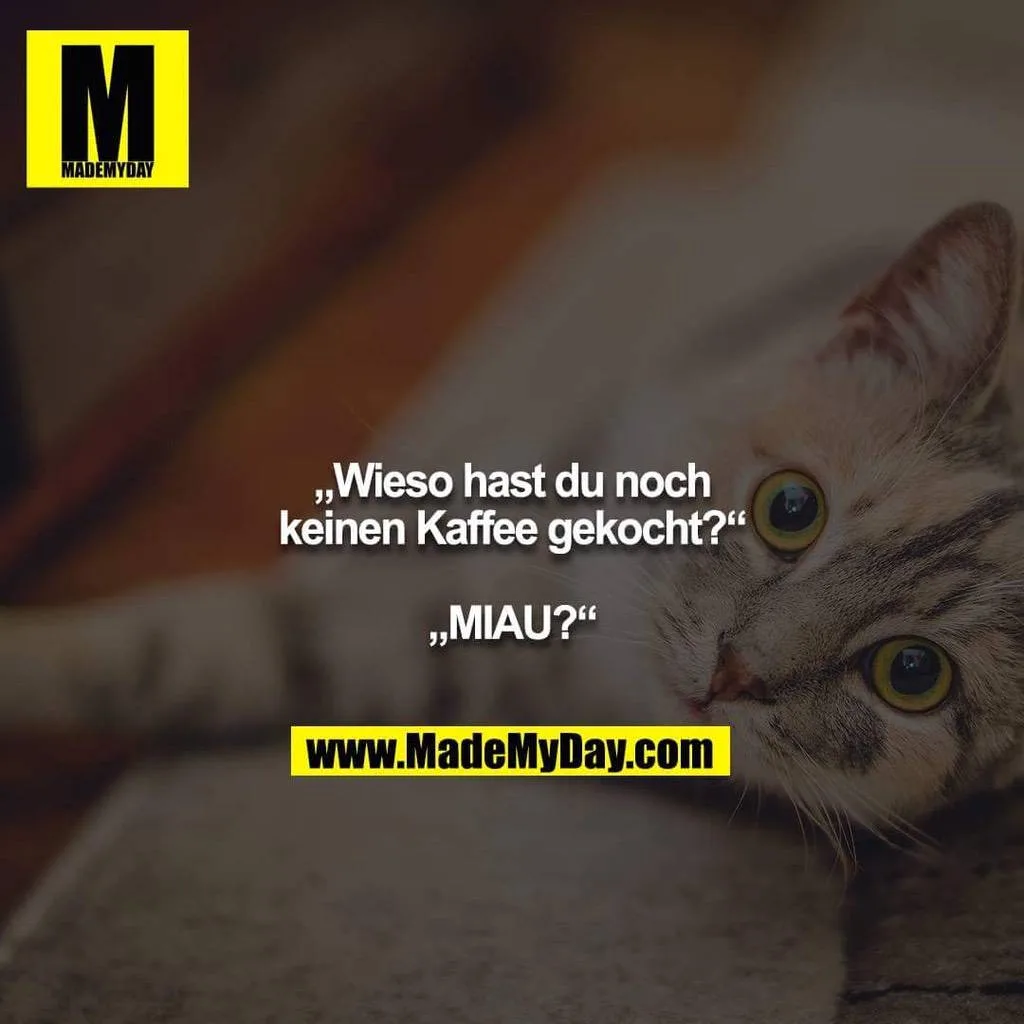 ni4n087he848.webp