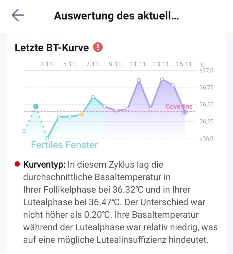 a7mt4zvgvdgg.webp