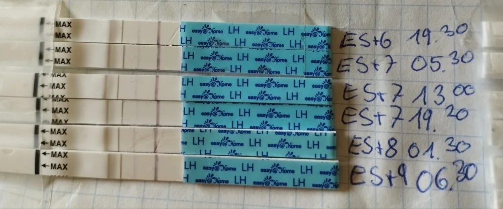 g56eva0o500z.webp
