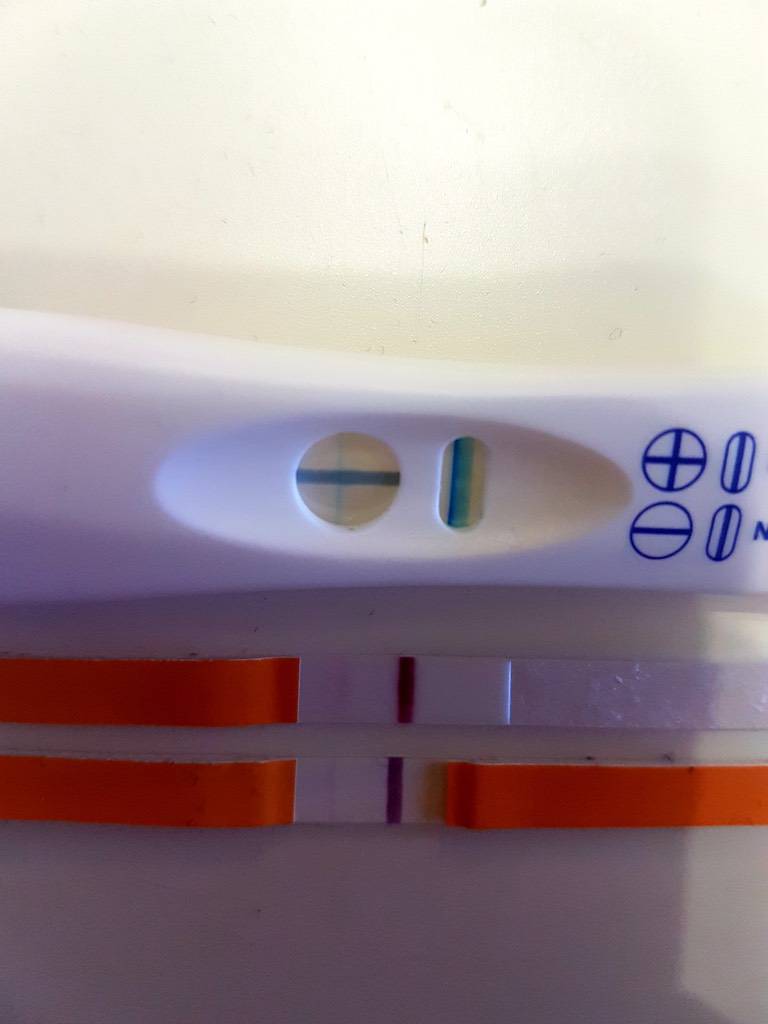 Tage negativ vier überfällig test 4 Wochen