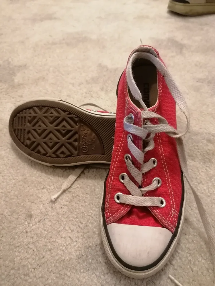 jprqg66pburw.webp