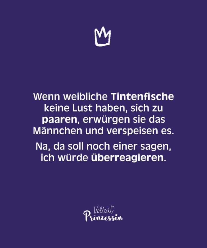 749o5ribrrzq.webp