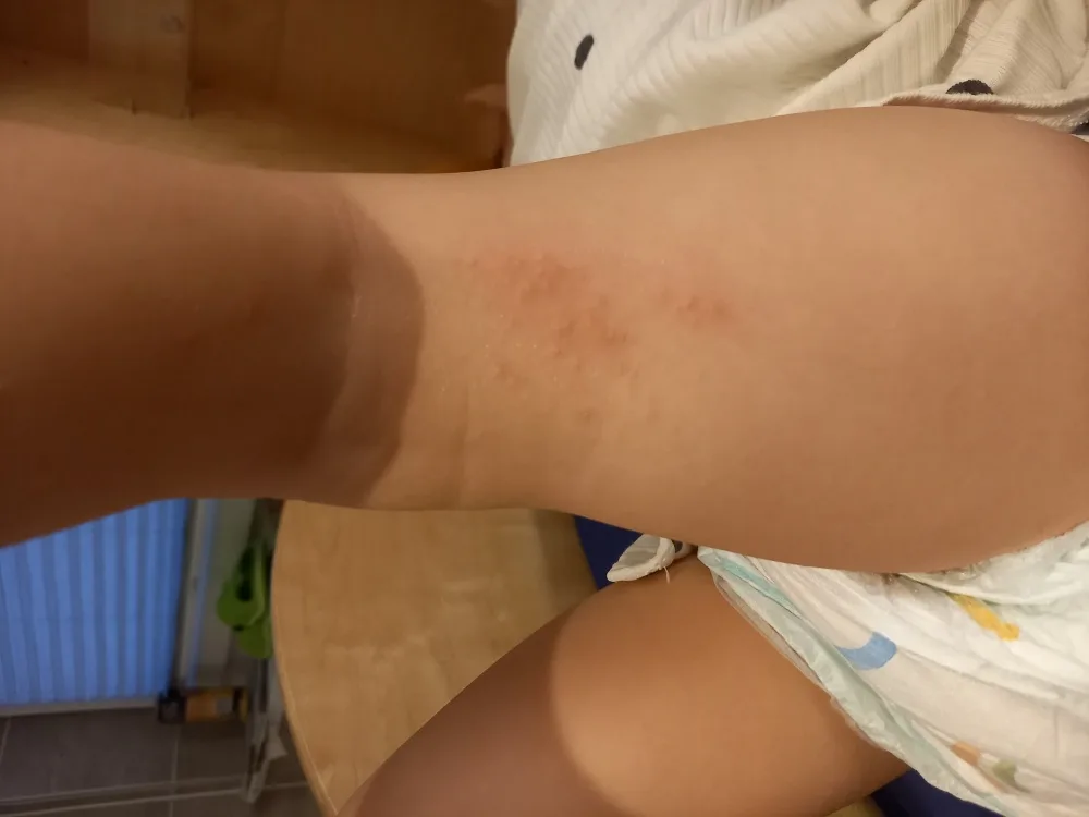 ieleldl026sm.webp