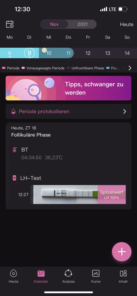2wlorf77b3xa.webp