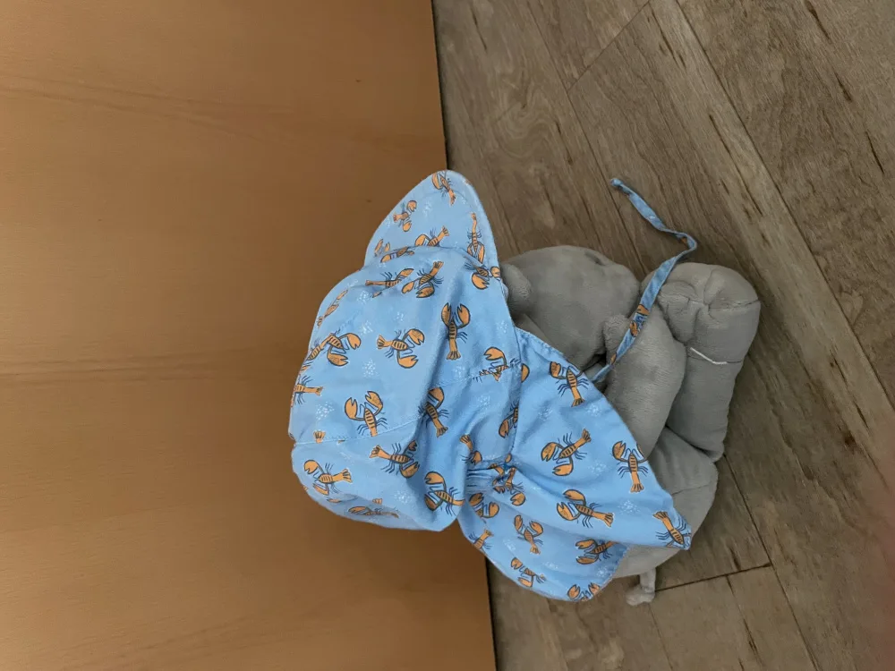 9gfkiczehqyw.webp