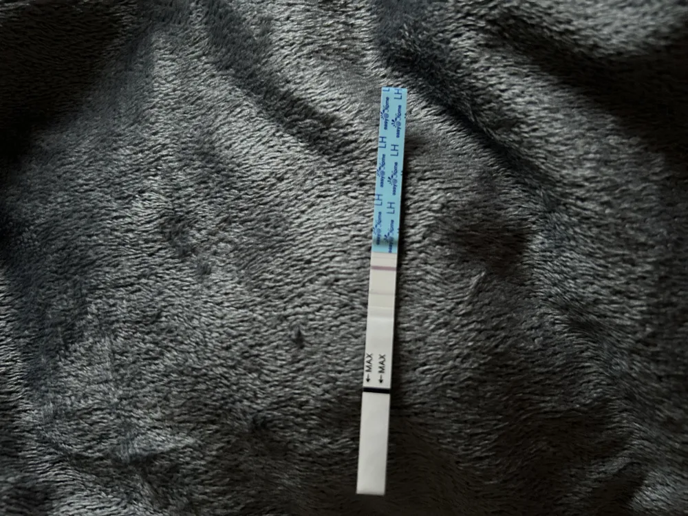 bvh3dbkoyyp5.webp