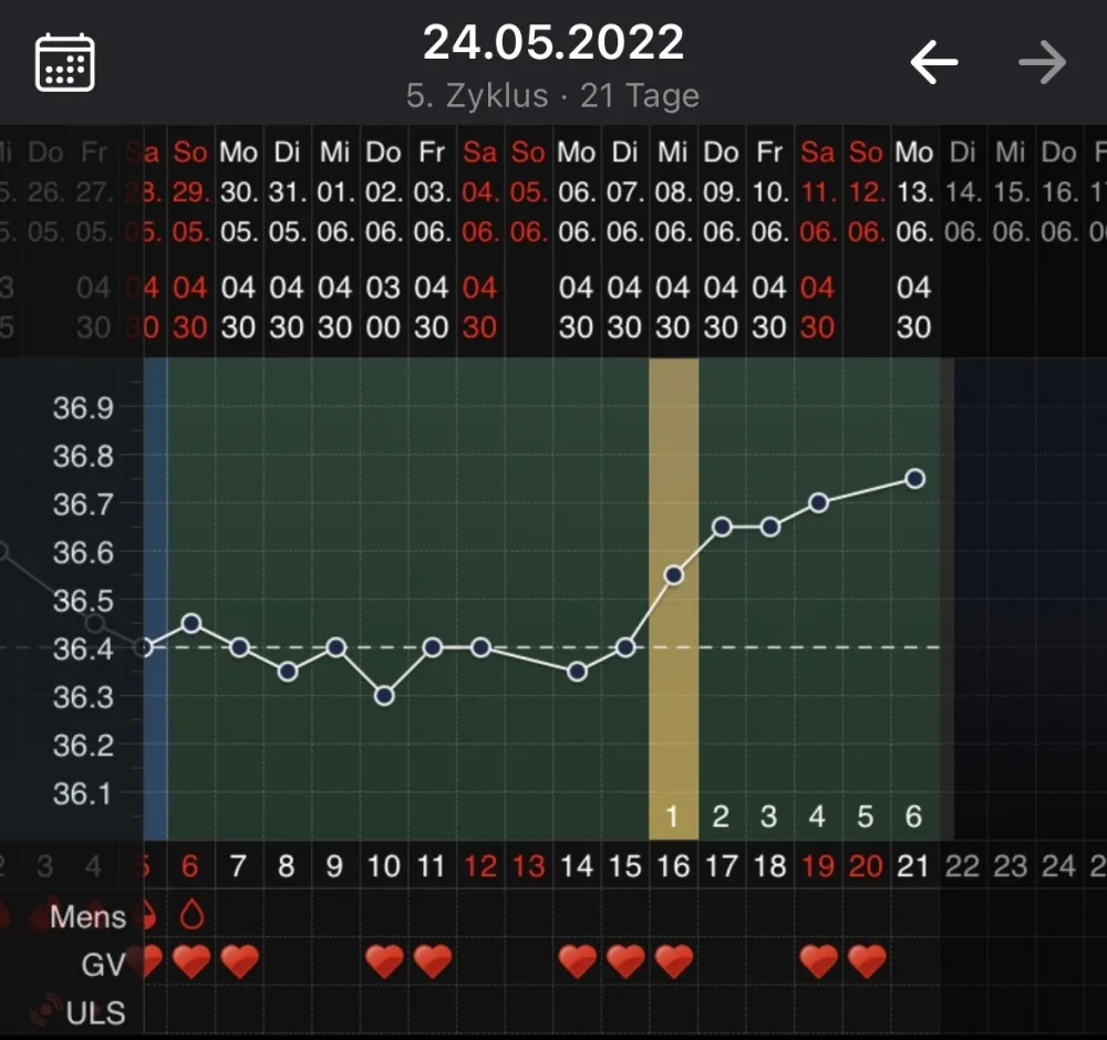 dv84hk6in3dv.webp