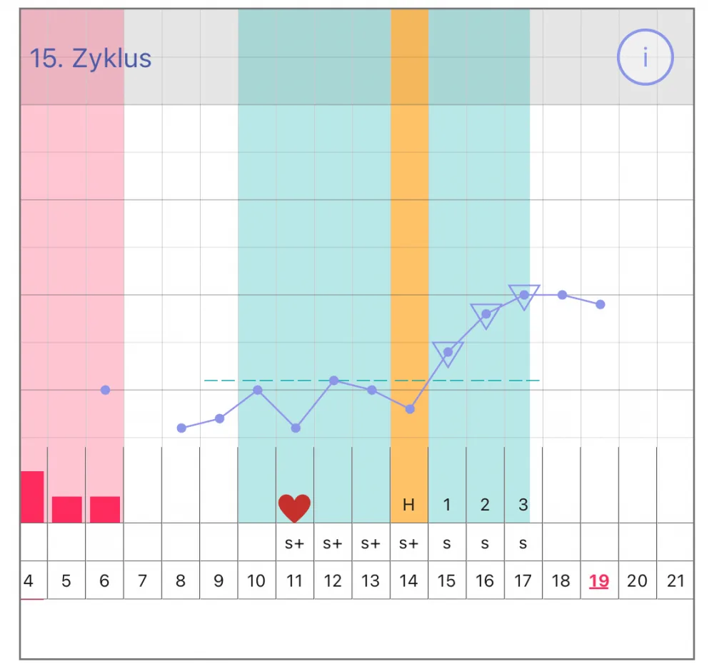 rizxajtj90qx.webp