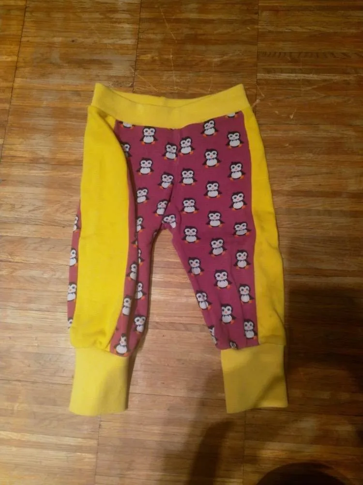uoj5rgxe5w83.webp