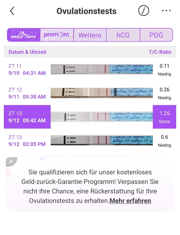 tje8isaus46w.webp