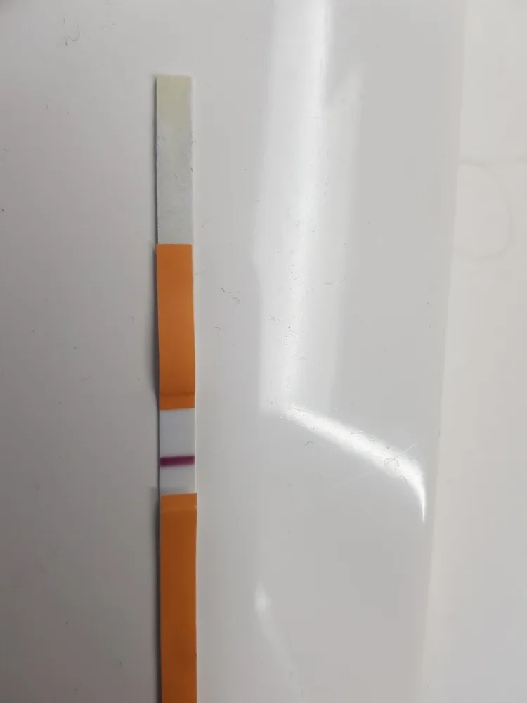 r295vwyg1ae1.webp