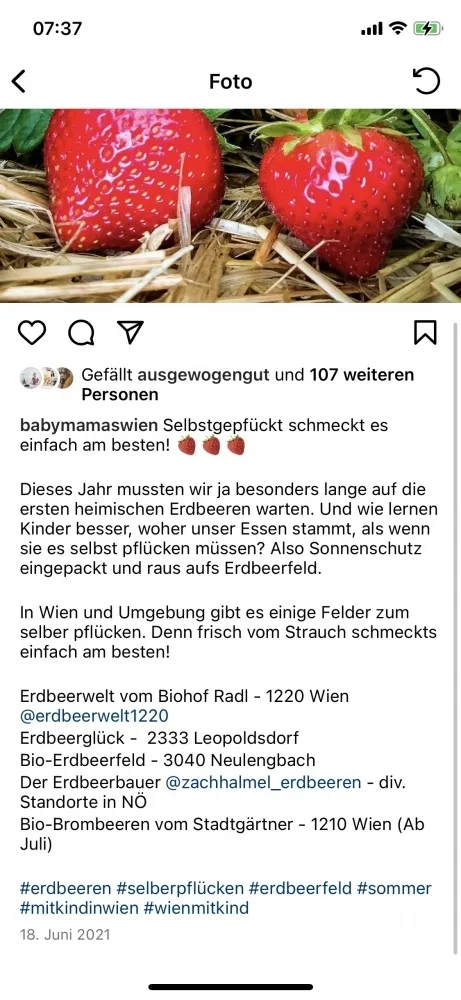 vhlbl55csj1i.webp