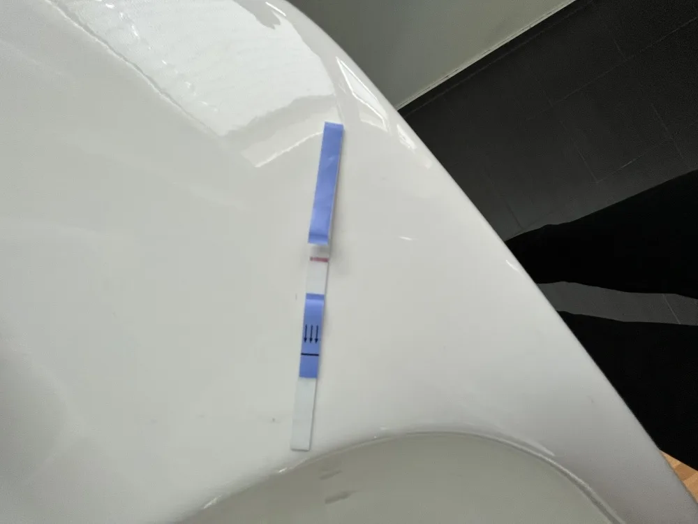 x6snte919sym.webp
