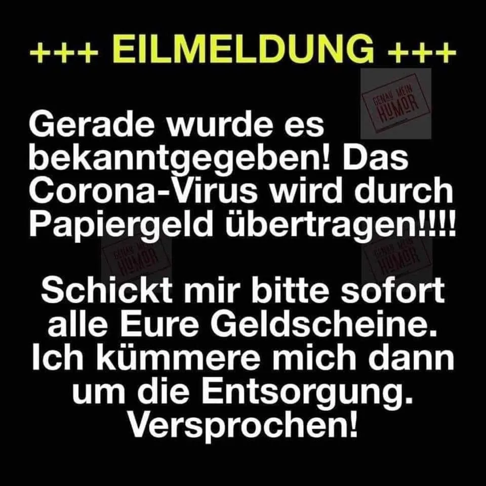 8489shxjwkiq.webp