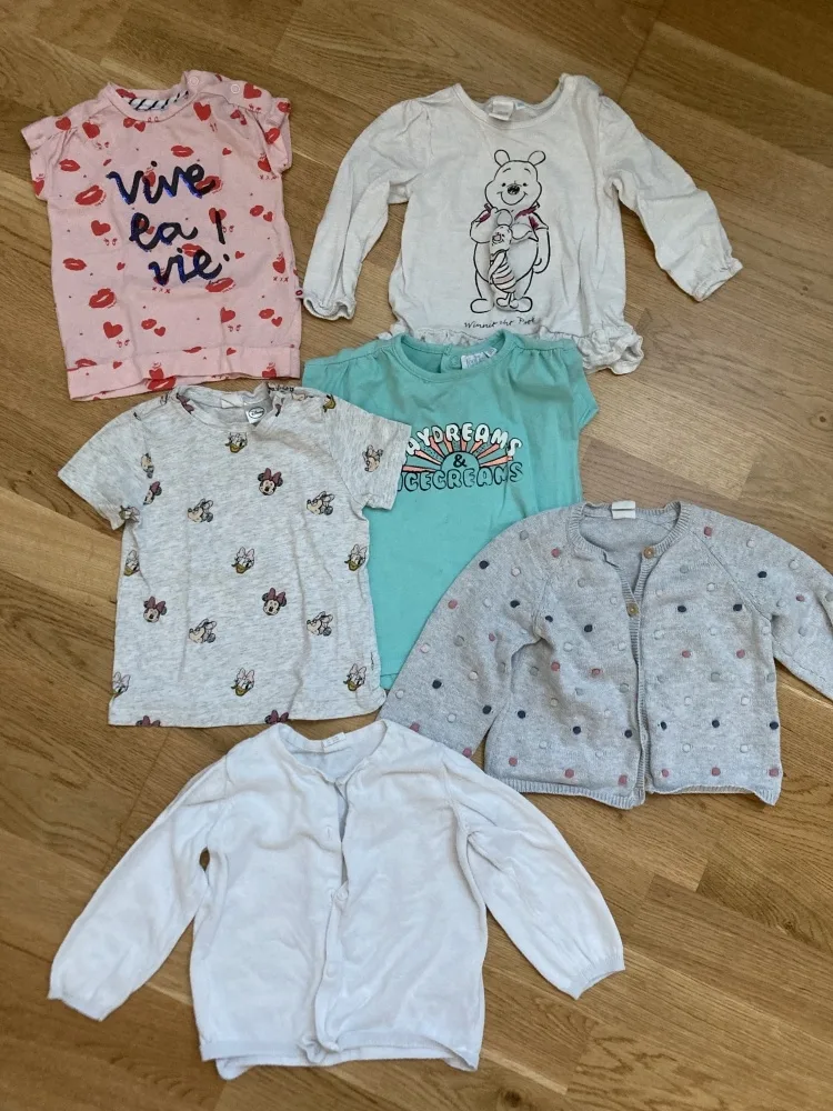 kp73wlv6m9ib.webp