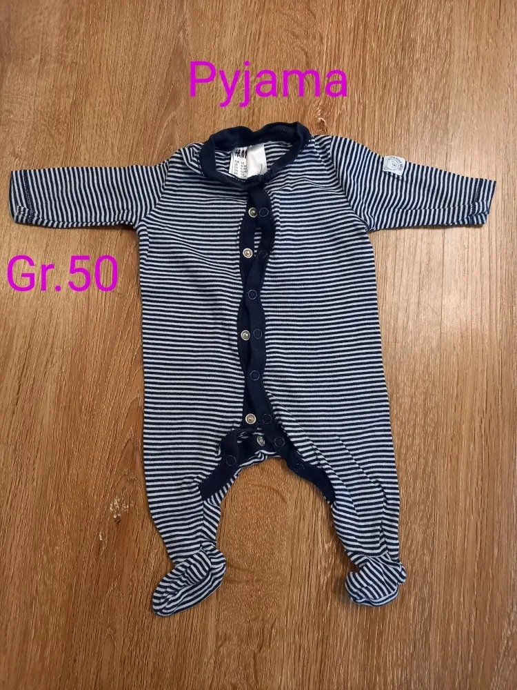 p181vrvdgcqg.webp