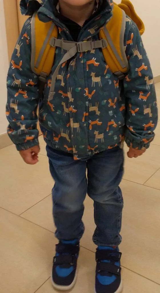3w5uzt3ghavy.webp