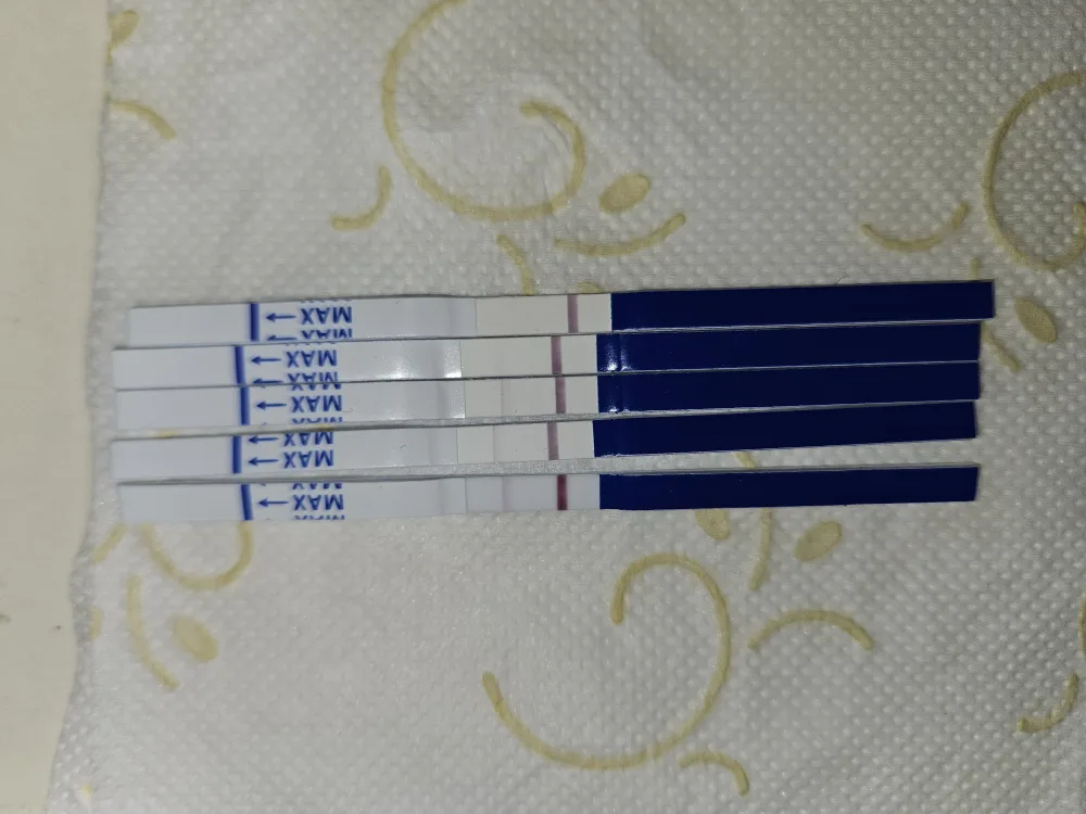12bvrdgec902.webp