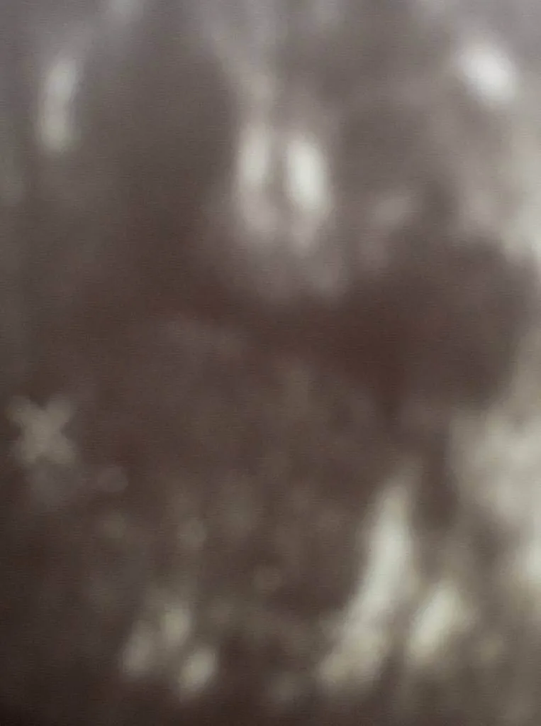 vbls310fygh4.webp