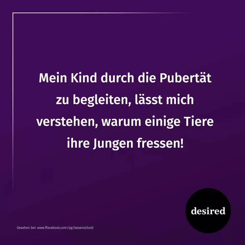 99bcijj0m1zr.webp