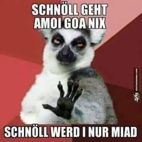 vevxgey03ndz.webp