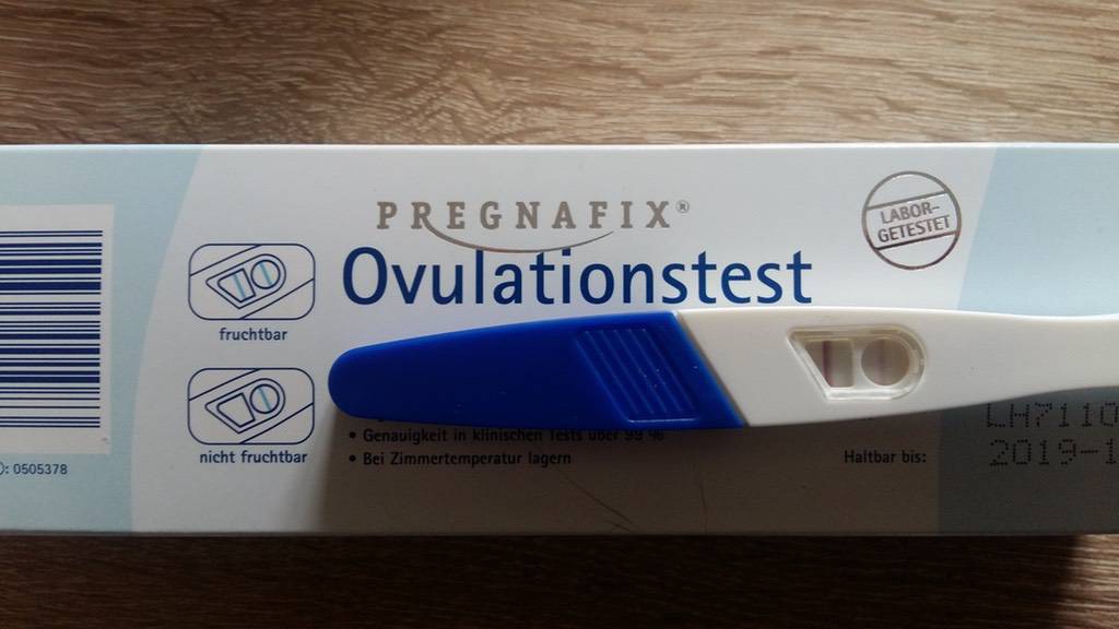 Leicht positiv nur ovulationstest Ovulationstest Strich