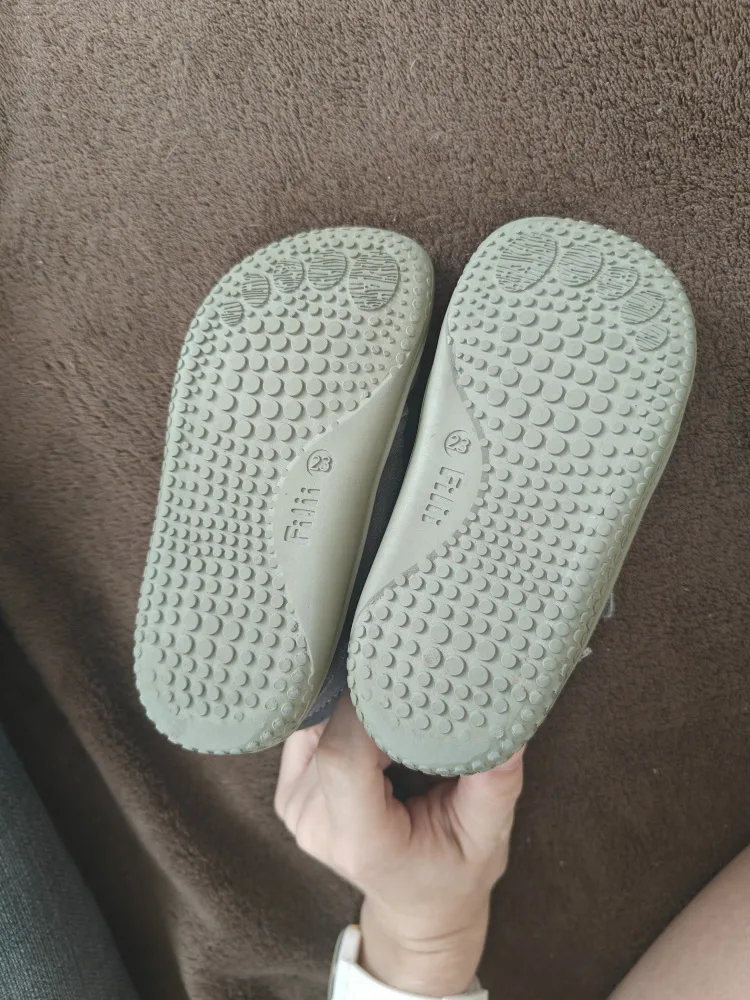 p81gn7ryrppm.webp