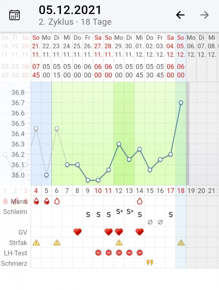 h1vfwr8nh3km.webp