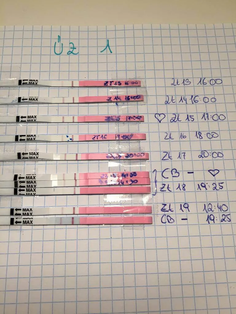 7argt686quff.webp