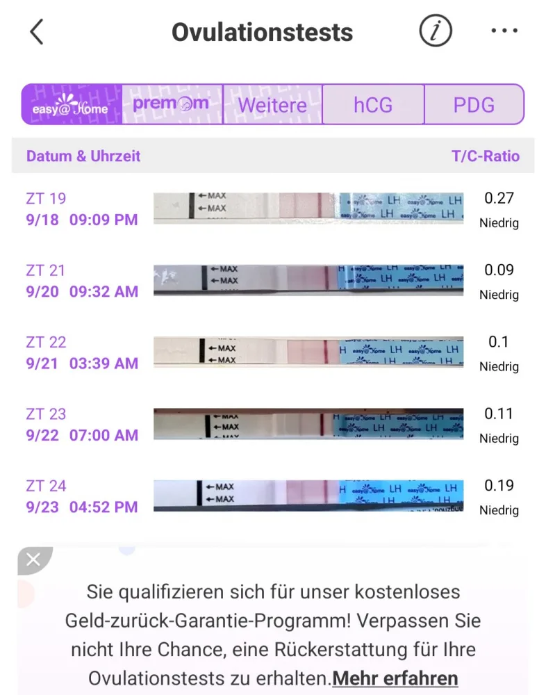 hs46v59chjz8.webp