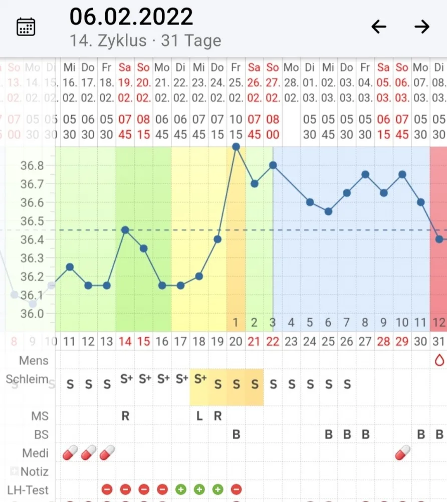 7472jhevm2zi.webp