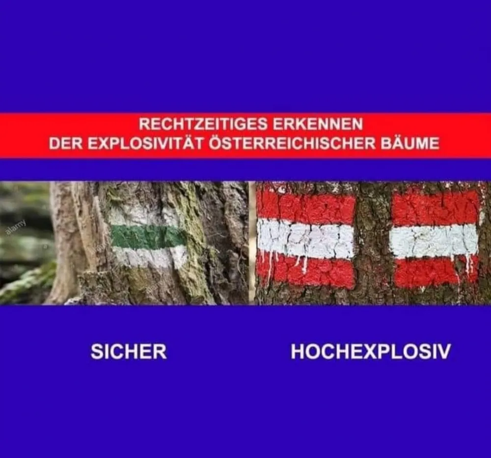 btm9cg9dzdo6.webp