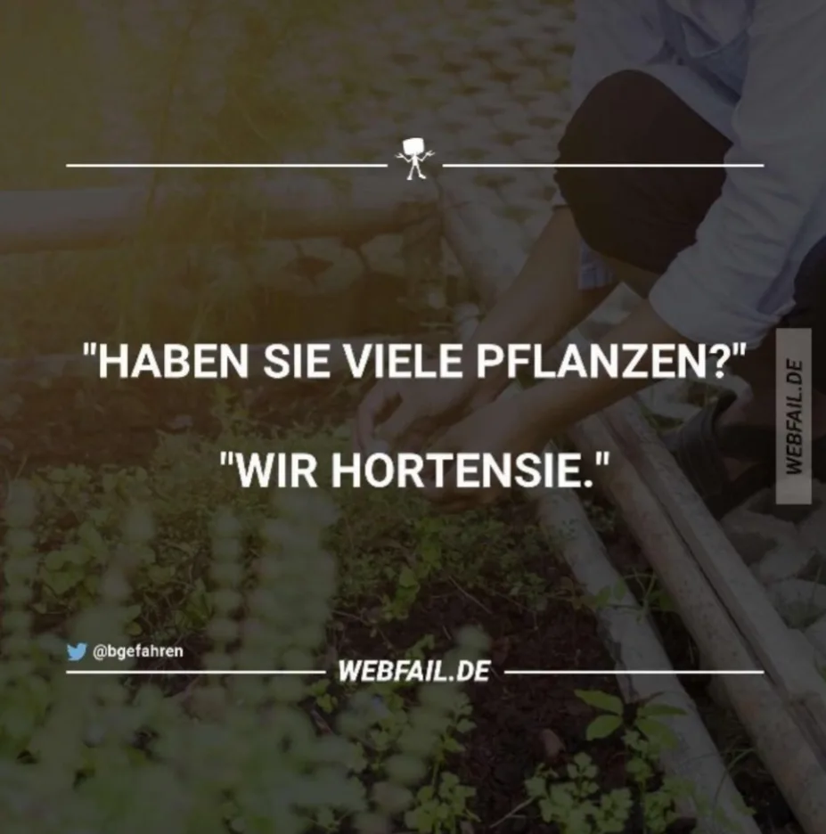 hqhlbfkagd5x.webp