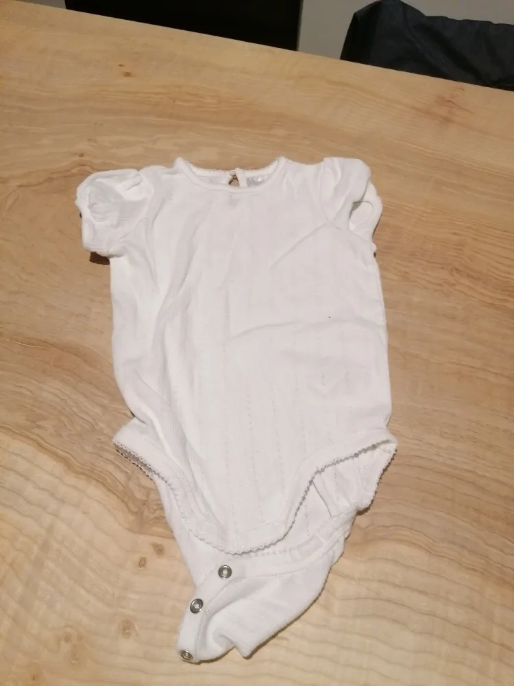 6iwm8279fldw.webp