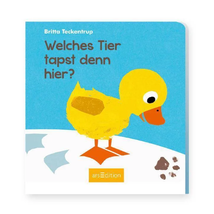pp8figd1chfz.webp