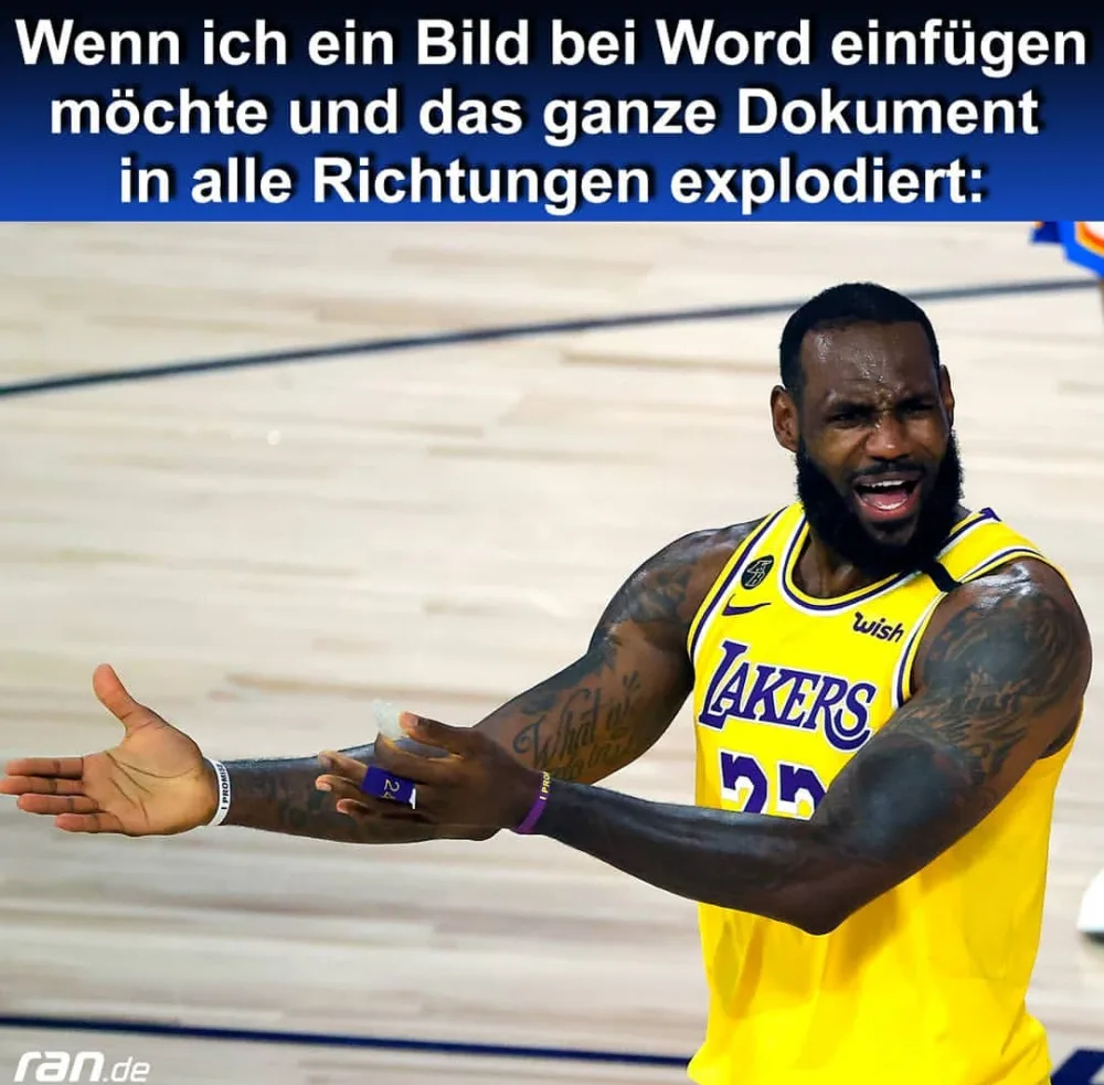 ezq9pi3b3fyn.webp