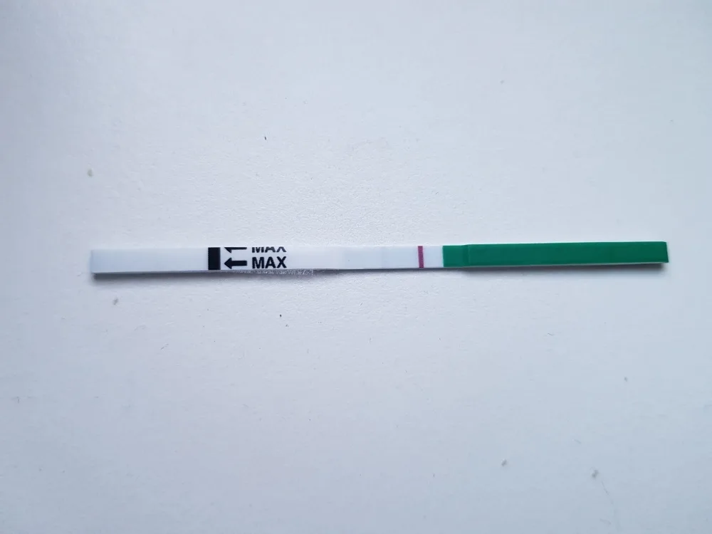 y03w4vdna1xa.webp