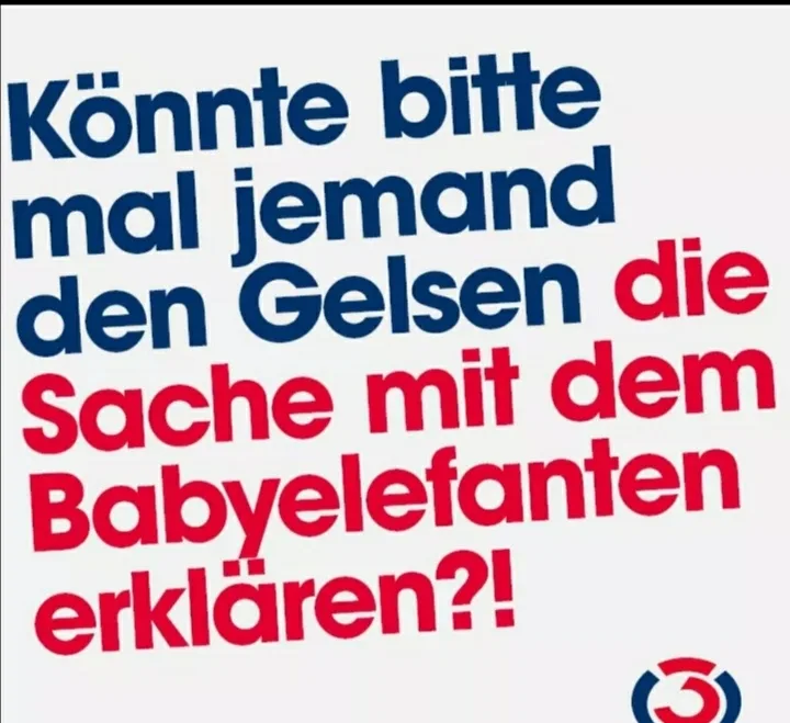 u5zi2l4s1alb.webp
