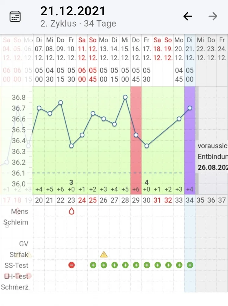tdtdjirl8oe2.webp